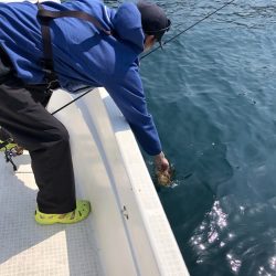 「LaGooN」蒼陽丸 日和号 釣果