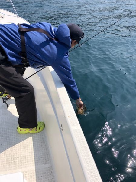 「LaGooN」蒼陽丸 日和号 釣果