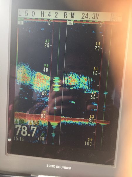 海楽隊 華栞丸 釣果