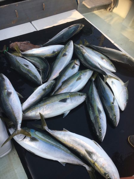 海楽隊 華栞丸 釣果