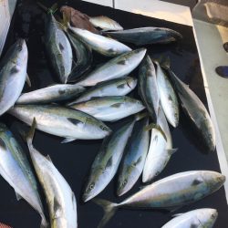 海楽隊 華栞丸 釣果