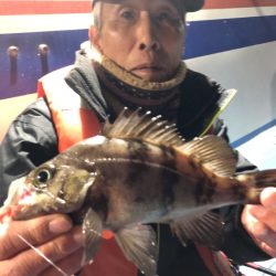 ヤザワ渡船 釣果