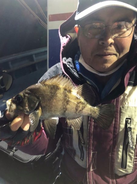 ヤザワ渡船 釣果