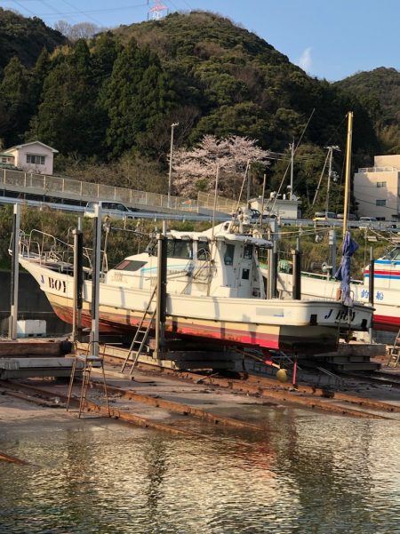 あみや渡船 JIGBOY 釣果