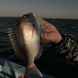 みやけ丸 釣果