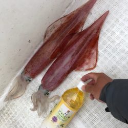 「LaGooN」蒼陽丸 日和号 釣果