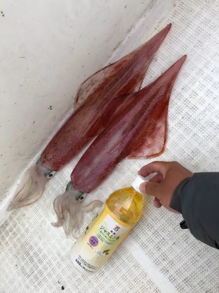 「LaGooN」蒼陽丸 日和号 釣果