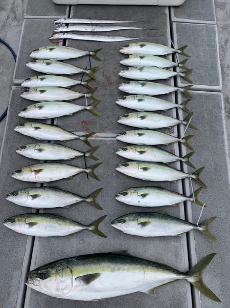 SeaRide(シーライド) 釣果