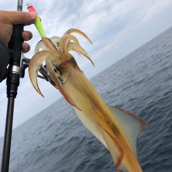 「LaGooN」蒼陽丸 日和号 釣果