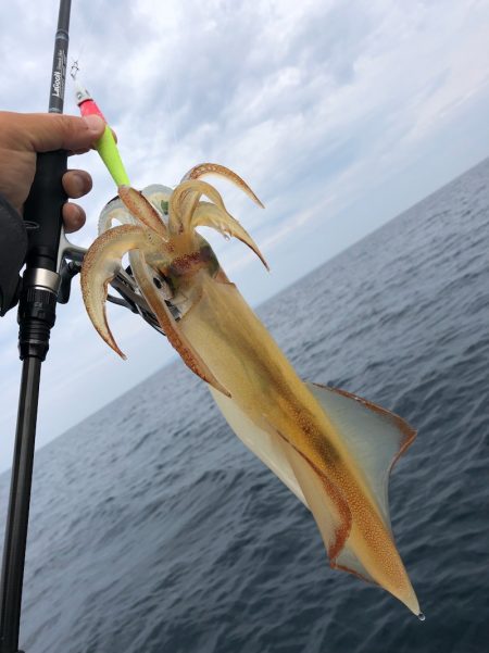 「LaGooN」蒼陽丸 日和号 釣果