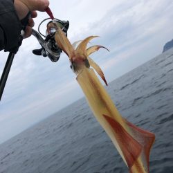 「LaGooN」蒼陽丸 日和号 釣果