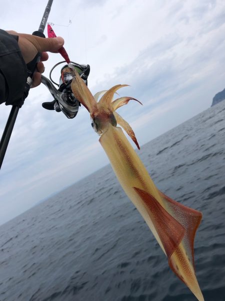 「LaGooN」蒼陽丸 日和号 釣果