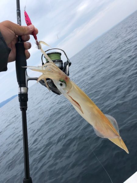 「LaGooN」蒼陽丸 日和号 釣果