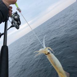 「LaGooN」蒼陽丸 日和号 釣果