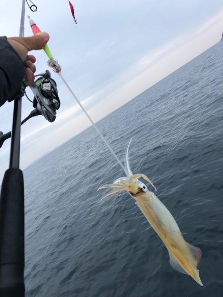 「LaGooN」蒼陽丸 日和号 釣果