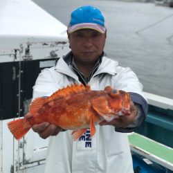 丸万釣船 釣果