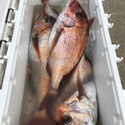 第二八坂丸 釣果