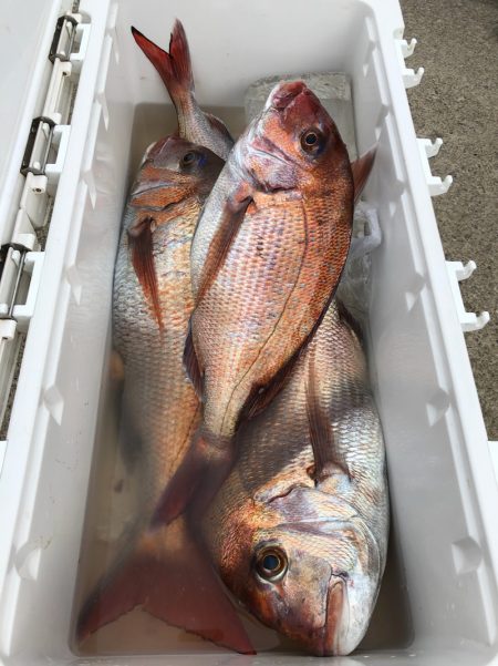 第二八坂丸 釣果