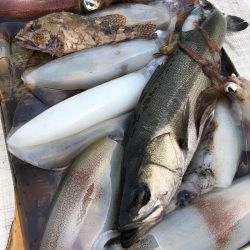 「LaGooN」蒼陽丸 日和号 釣果