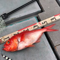 ＴＡＲＯＭＡＲＵ 釣果