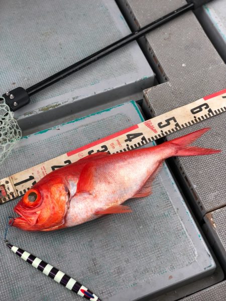 ＴＡＲＯＭＡＲＵ 釣果