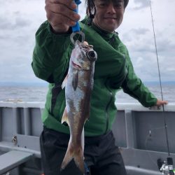 ＴＡＲＯＭＡＲＵ 釣果