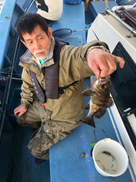 ヤザワ渡船 釣果