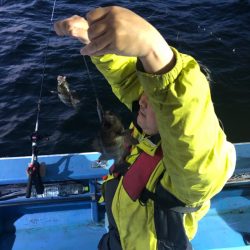 ヤザワ渡船 釣果