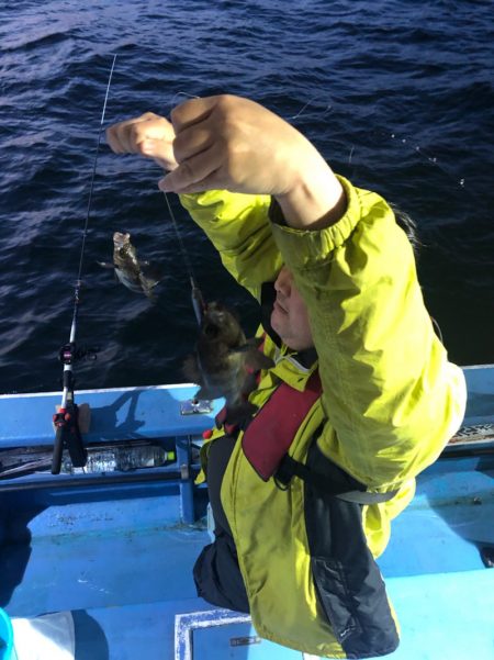 ヤザワ渡船 釣果