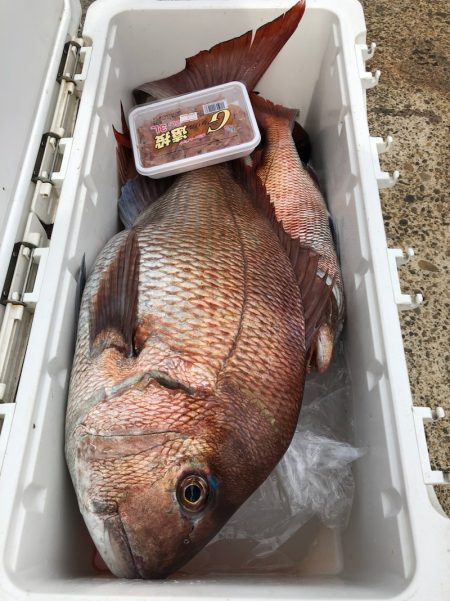 第二八坂丸 釣果