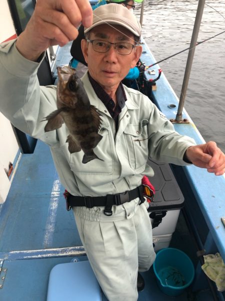 ヤザワ渡船 釣果