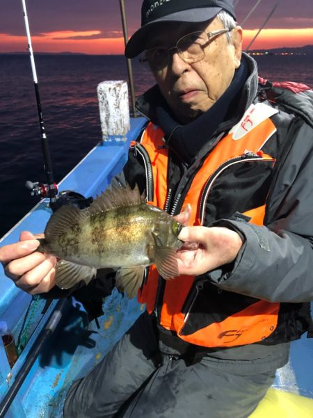 ヤザワ渡船 釣果