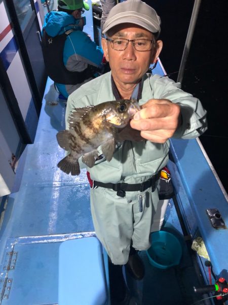 ヤザワ渡船 釣果