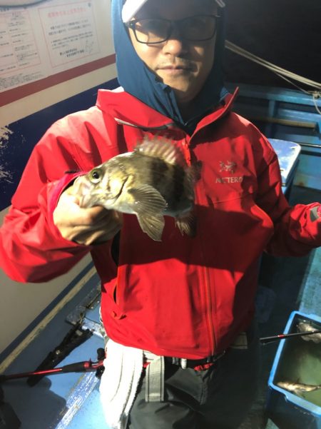 ヤザワ渡船 釣果