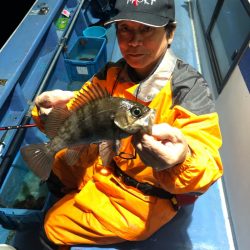 ヤザワ渡船 釣果