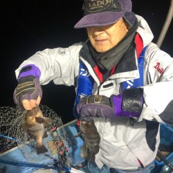 ヤザワ渡船 釣果