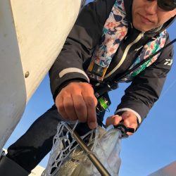 「LaGooN」蒼陽丸 日和号 釣果