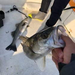 「LaGooN」蒼陽丸 日和号 釣果