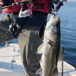 「LaGooN」蒼陽丸 日和号 釣果