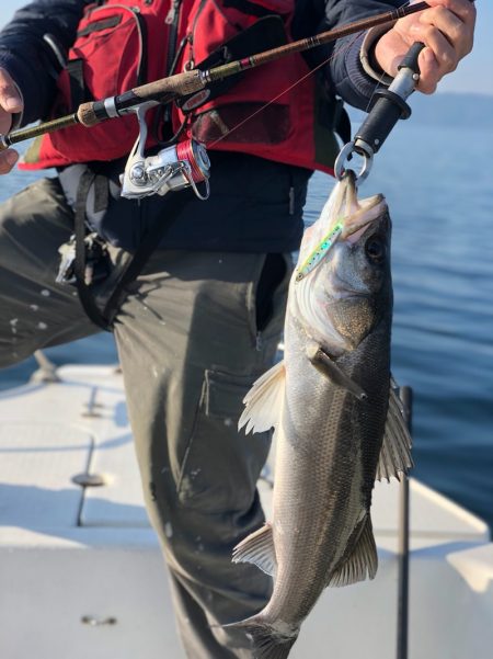 「LaGooN」蒼陽丸 日和号 釣果