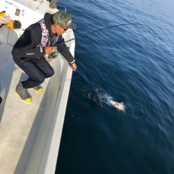 「LaGooN」蒼陽丸 日和号 釣果