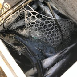 「LaGooN」蒼陽丸 日和号 釣果