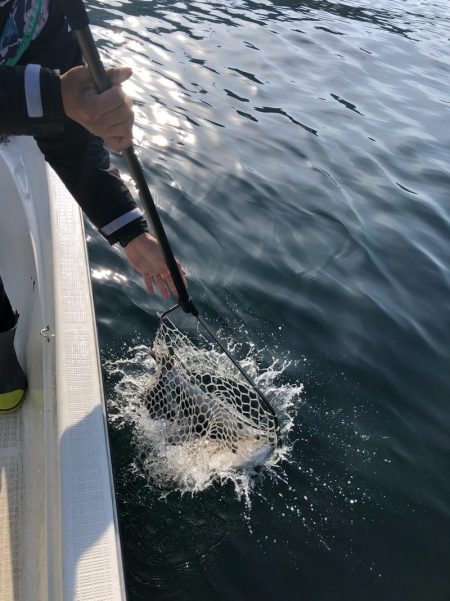 「LaGooN」蒼陽丸 日和号 釣果