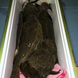 第二八坂丸 釣果