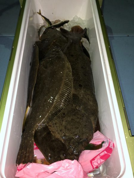 第二八坂丸 釣果