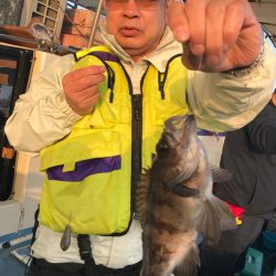 ヤザワ渡船 釣果