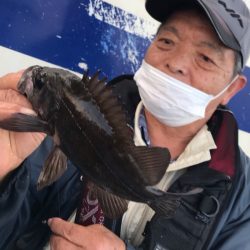 ヤザワ渡船 釣果