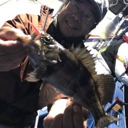 ヤザワ渡船 釣果