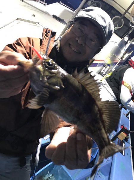 ヤザワ渡船 釣果