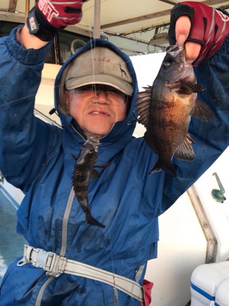 ヤザワ渡船 釣果